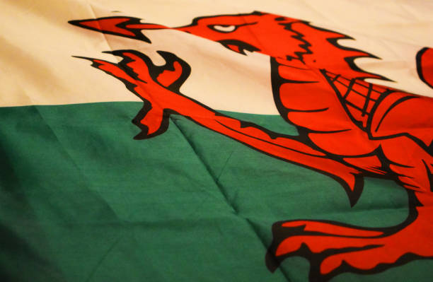 galês dragão - welsh flag welsh culture flag green - fotografias e filmes do acervo