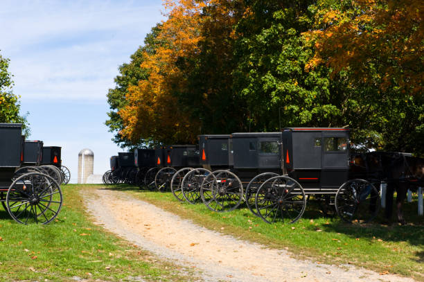istock Amish Transportation Horse Power 686409920