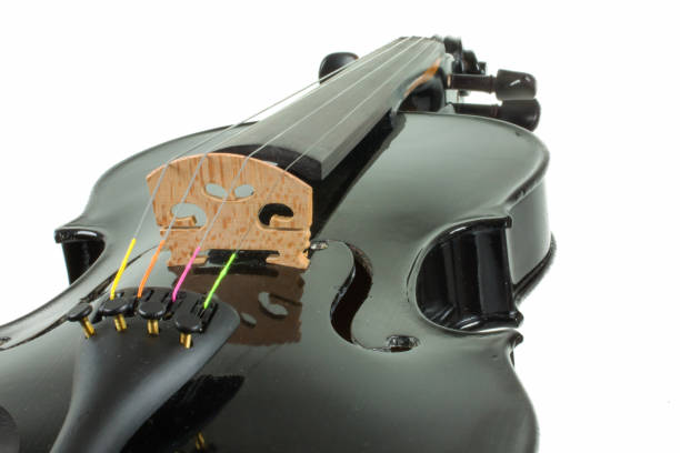 istock Close up of Black Violin 686410016
