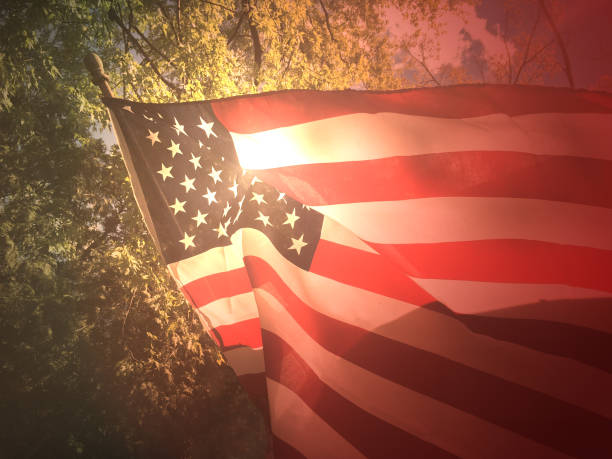 drapeau américain en arrière-plan - flag day photos et images de collection