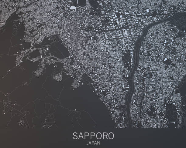 istock Map of Sapporo, satellite view, city, Japan 686418582