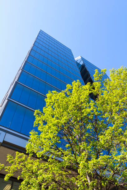 istock Modern glass building in a city 686428780