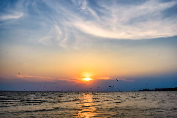 istock Seagulls bird fly above the sea at sunset time with twilight scene. 686435120