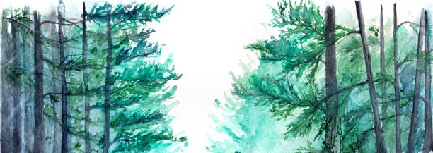 акварель бирюзовый зимний лесной сосновый ландшафт - illustration and painting panoramic sky snow stock illustrations