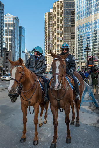 Chicago, Illinois, 15 March 2014 - Police Department Mounted Patrol watching over the crowds during Saint Patric Day cellebration downtown Chicago.