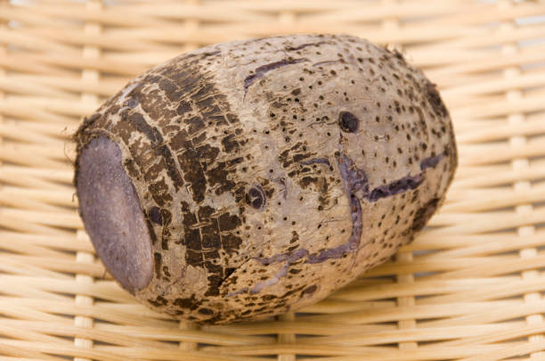 Ta-nm,Japanese Taro,