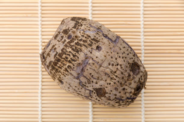 Ta-nm,Japanese Taro,
