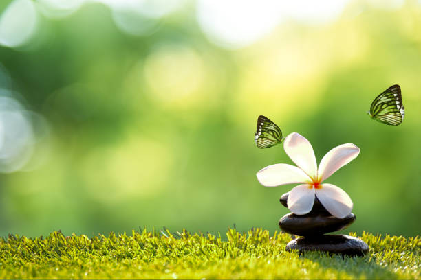 istock Spa massage with rock spa, Thailand, soft and select focus 686442518