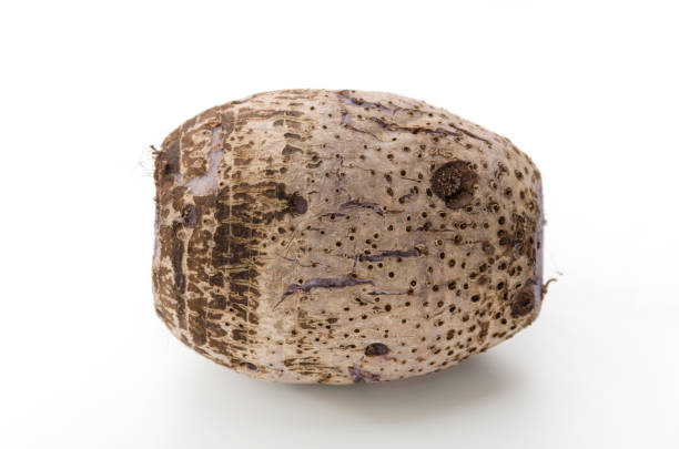 istock Ta-nm,Japanese Taro, 686442608