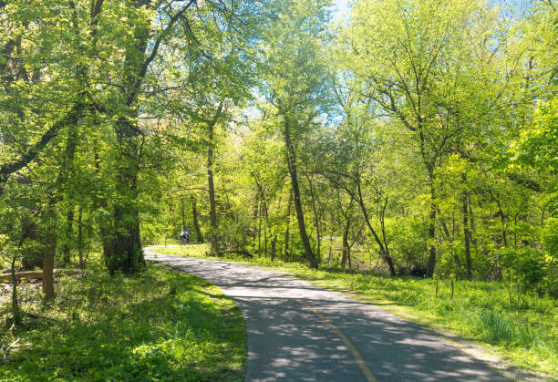 istock Alley in a botanic garden on a spring day 686452058