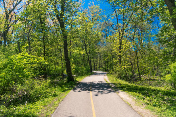 istock Alley in a botanic garden on a spring day 686452068