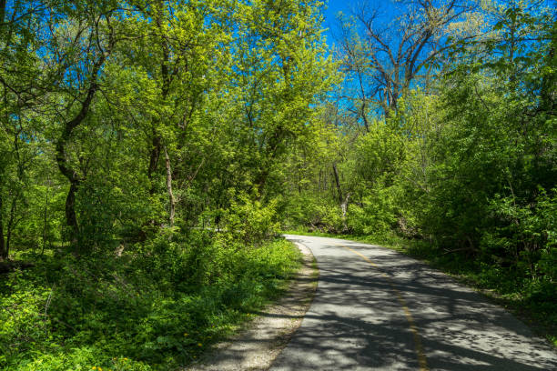 istock Alley in a botanic garden on a spring day 686452090