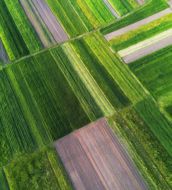 istock View on the field from air. Agricultural composition in  the summer time 686467552