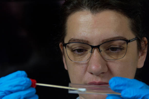 une femme recueille bâton d’échantillon adn médico-légale - cotton swab dna forensic science collection photos et images de collection