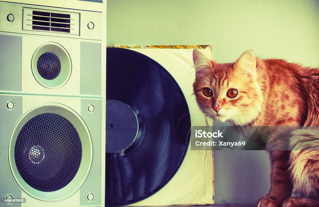 Old music speaker in foreground, red cat and record Old music speaker in the foreground, red cat, record, retro style composition, selective focus on column, toned image Domestic Cat Stock Photo