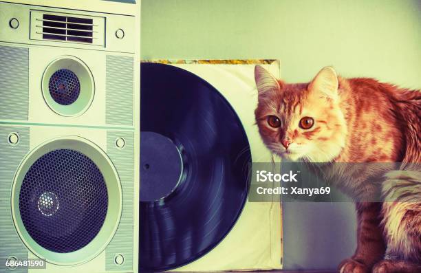 Old Music Speaker In Foreground Red Cat And Record Stock Photo - Download Image Now