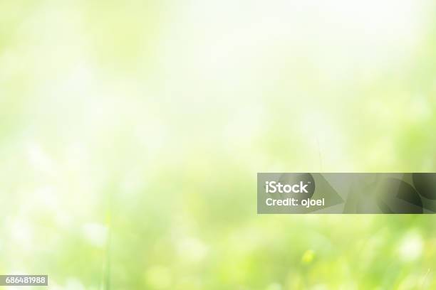 Bokeh Nature Stock Photo - Download Image Now - Nature, Backgrounds, Focus On Foreground