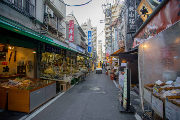 Tsukiji outer market in Tokyo Tsukiji outer market in Tokyo fish market stock pictures, royalty-free photos & images