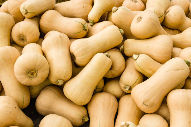 istock Butternut squash at the market 686482434