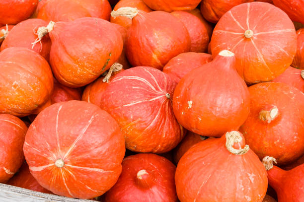istock Orange Uchiki squash at the market 686485028