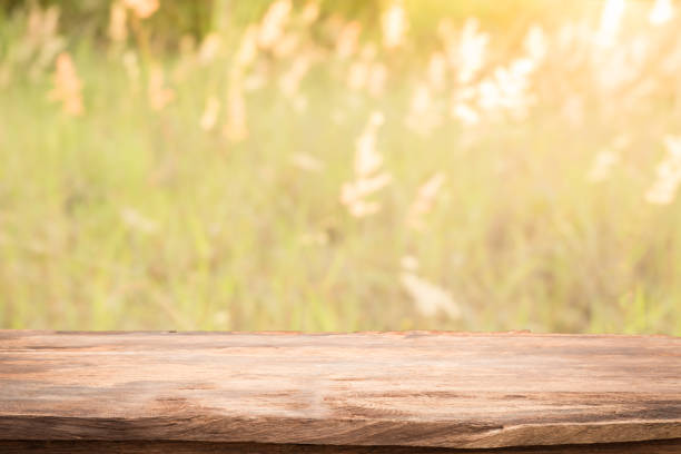 istock Empty table top on blurred nature background,Space for placing products,Warm light from the sunset 686488782