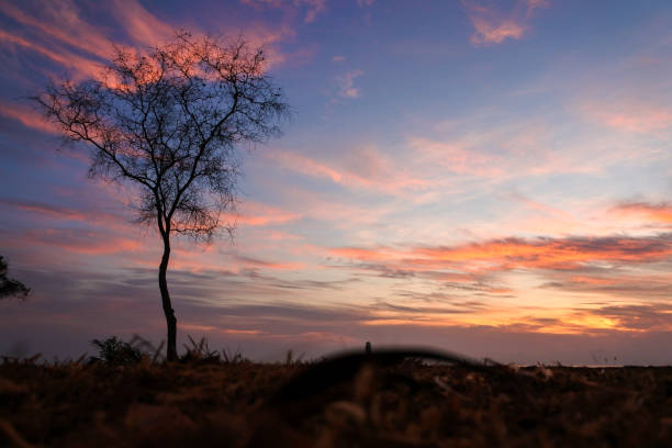 istock beautiful sunrise sky wallpaper 686495588
