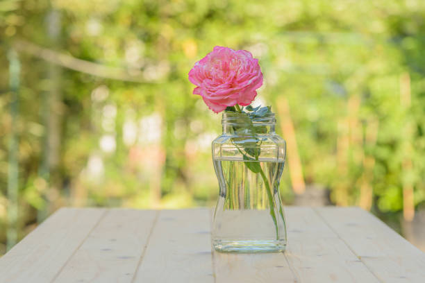 istock Pink rose in glass jar on wooden table 686501290