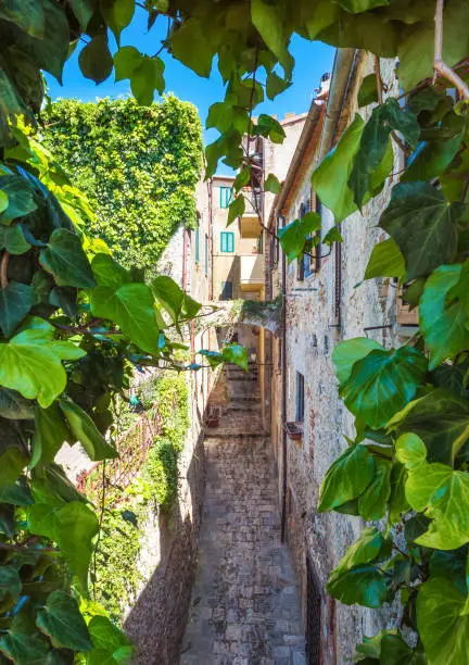 Photo of Capalbio, Italy