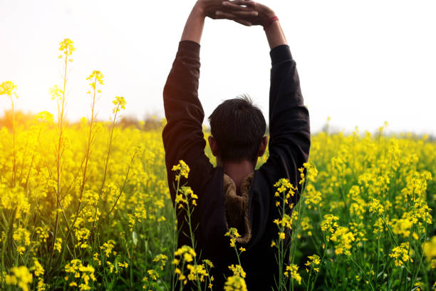 vista posterior de los hombres en el campo - mustard plant mustard field clear sky sky fotografías e imágenes de stock