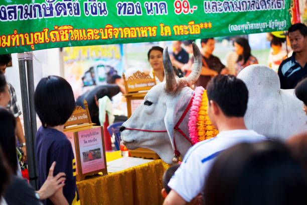 White asian cow with buddhist flowers betwen many thai people on annual food market on grounds of Kastsart university in Bangkok. People are watchign cow. In background is a market stall.