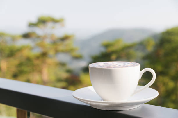 istock Cup of hot Cappuccino coffee on nature background 686528830