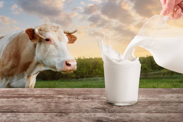 istock milk from jug pouring into glass with splashes 686529058