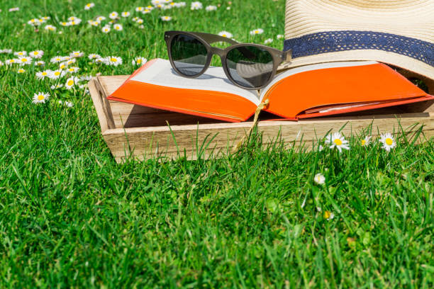 istock Straw hat with a book and sunglasses on a green lawn 686543020