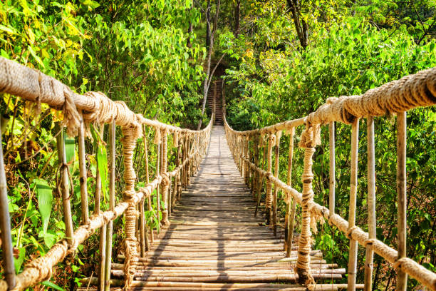 istock Scenic simple suspension bridge over gorge 686543672