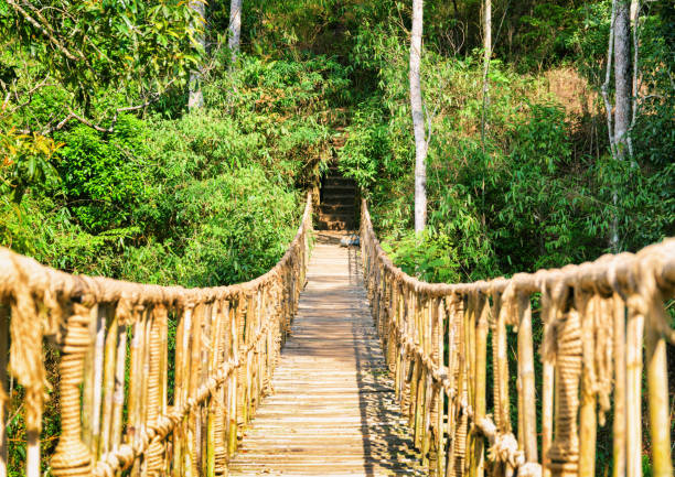 istock Scenic footbridge made from rope and bamboo 686546048