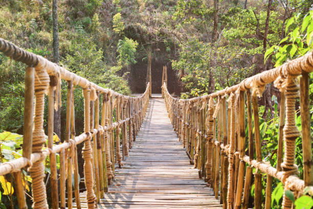 istock Amazing footbridge made from rope and bamboo 686546716