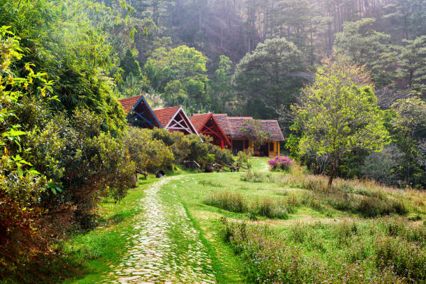 Amazing rural landscape. Scenic rustic houses with tile roofs at cozy village among green woods.