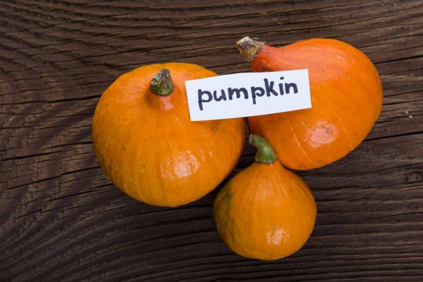 istock Pumpkin on wooden background. 686552820