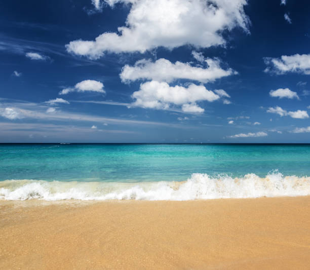 istock Beautiful tropical beach and blue sky 686556190