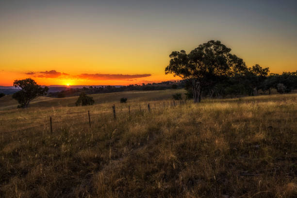 istock Countryside landscape at sunset in Australia 686562420