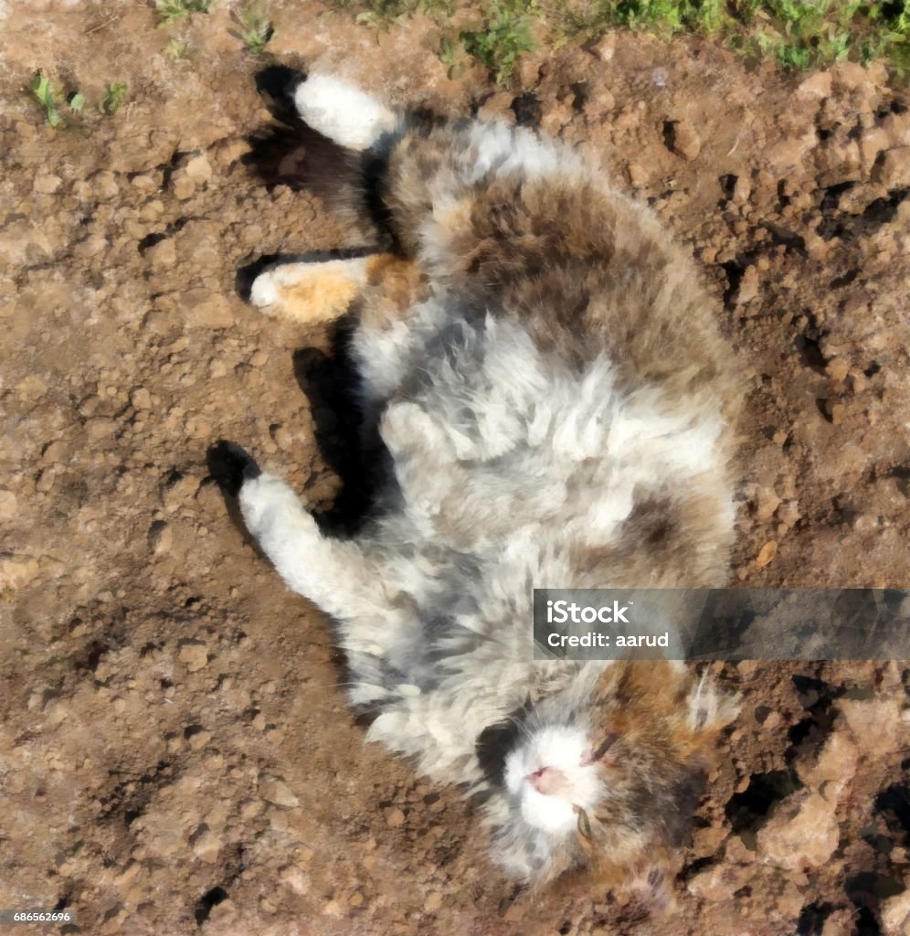 Severe Siberian rural cat  lies on a freshly scraped bed Severe Siberian cat lies on a freshly scraped bed Watercolor summer illustration Animal Stock Photo