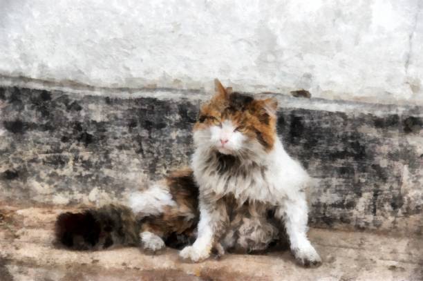 istock Severe Siberian harsh rural cat examines the  territory 686562918