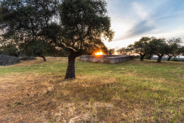 istock Sunset in Arroyo de la Luz 686574844
