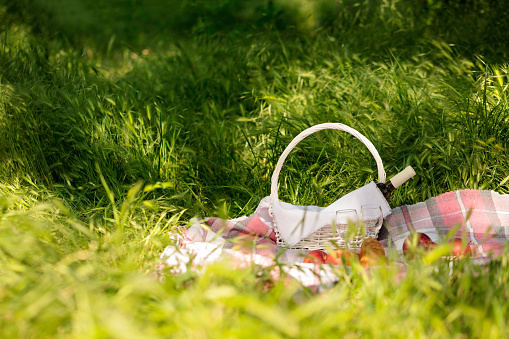 Summer picnic in the forest on the grass. Wine, fruit and croissants. Selective focus.