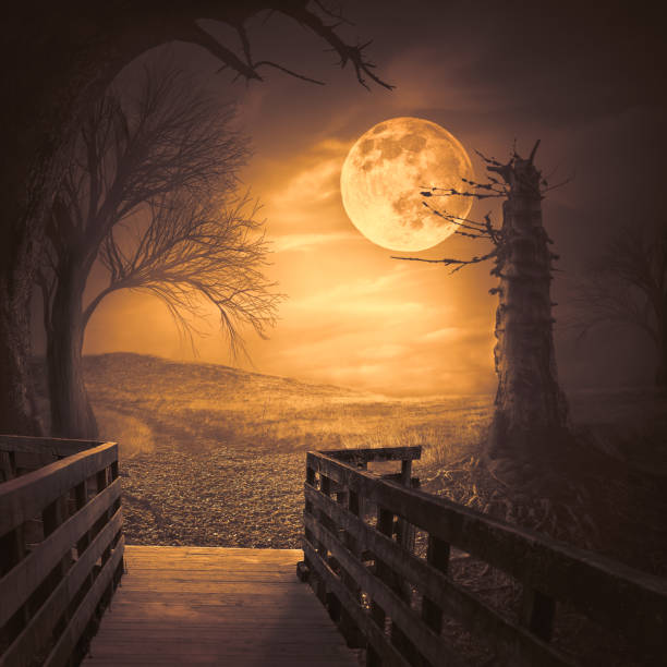 Mystical autumn forest with dead trees, old wooden bridge and roots at fiery full moon night. Halloween scary background concept.