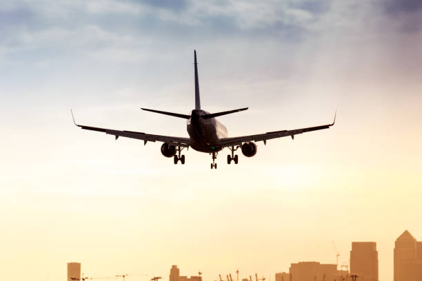 istock Passanger jet airplane landing at sunset 686591304