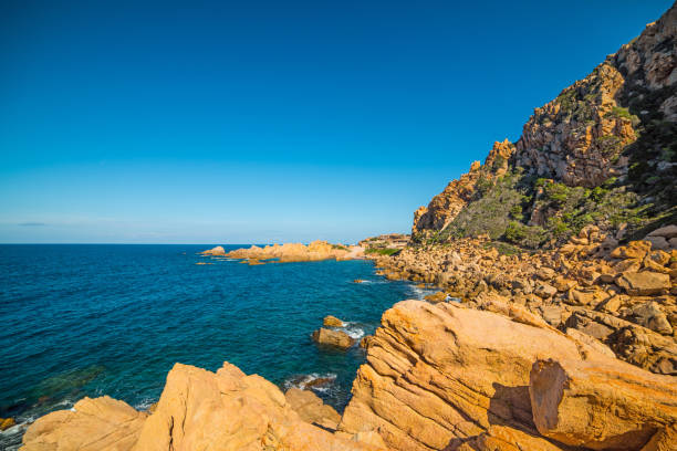 istock Costa Paradiso rocky coastline 686600864