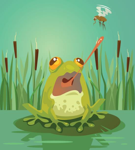 illustrazioni stock, clip art, cartoni animati e icone di tendenza di simpatica caccia al personaggio della rana sulle zanzare - frog catching fly water