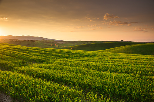 sunset countryside in italy