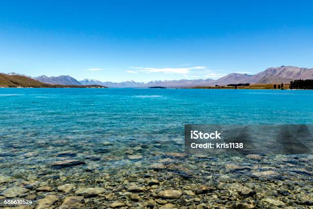 At The Shore Of Lake Tekapo Stock Photo - Download Image Now - Beauty In Nature, Blue, Canterbury Region New Zealand